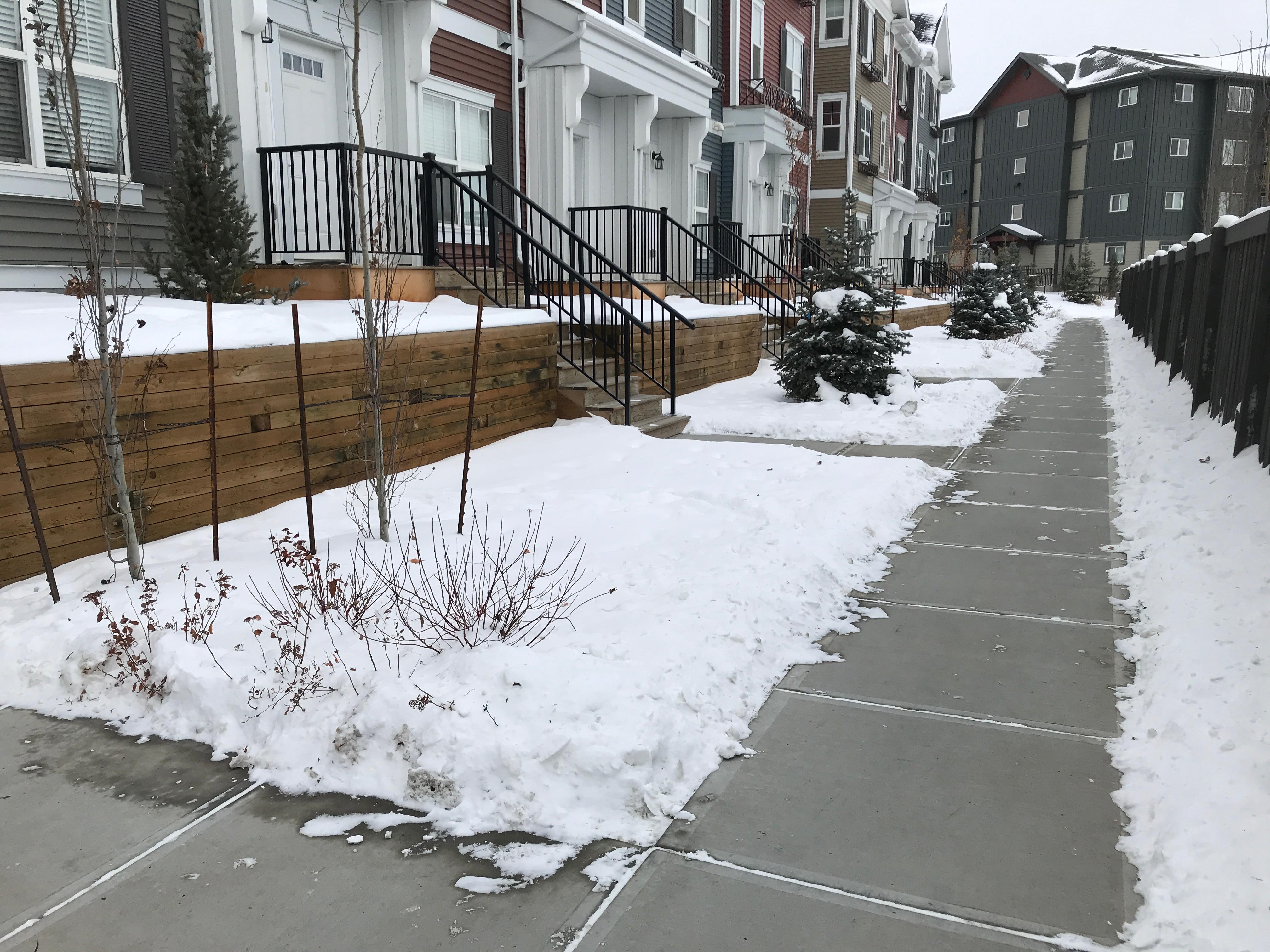 Townhouse row sidewalk cleared with snow banks on both sides